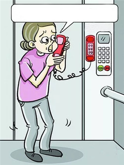 640.webp (10).jpg